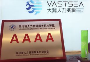大瀚人力資源集團(tuán) 企業(yè)管理咨詢?nèi)绾瓮苿?dòng)組織變革與效能提升？